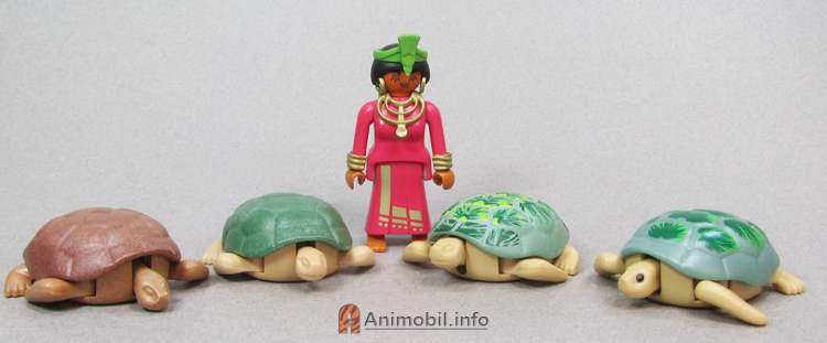 Sea Turtle 1
