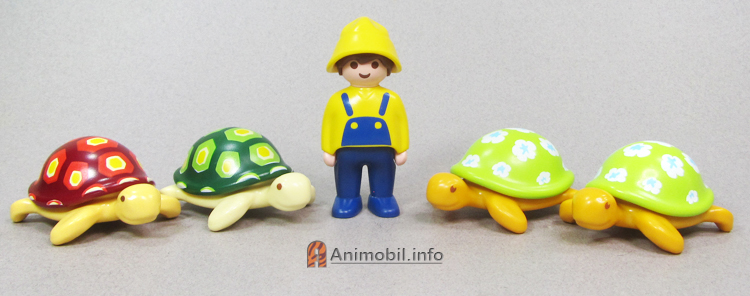Sea Turtle 123 and Junior
