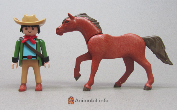 Horse Arabian Shagya