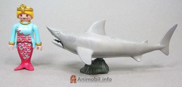 Shark 3