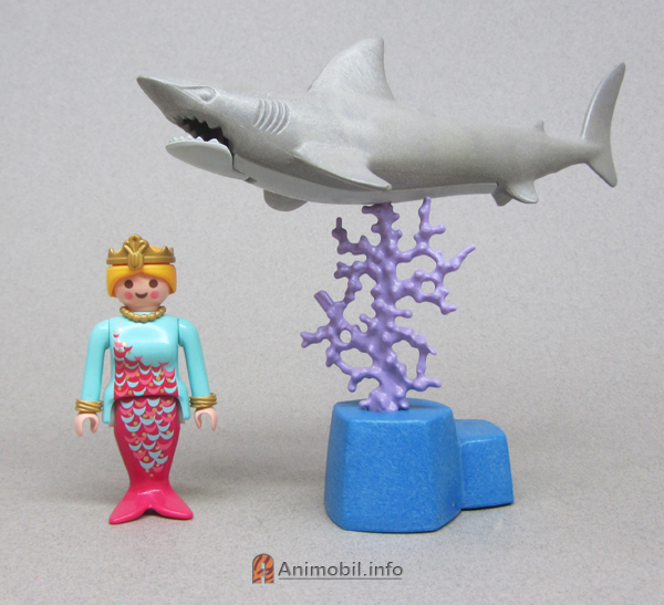Shark 3