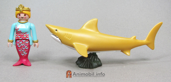 Shark Gold