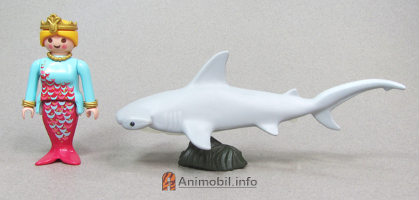 Hammerhead Shark