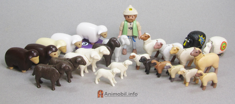 Sheep