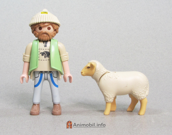 Sheep Hampshire 4