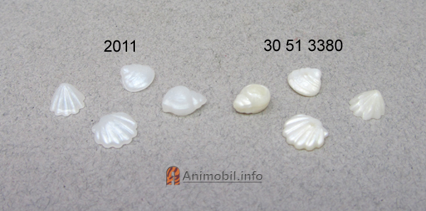 Seashells Set White 2