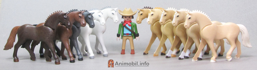 Horse Sport Horse Body Type