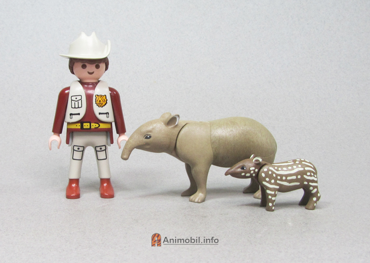 Tapirs