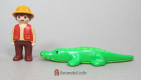 Alligator Crocodile 123