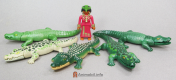 Alligator