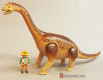 Brachiosaurus 3