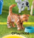 Cat Standing Orange Striped 4