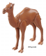 Camel Dromedary 5