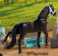 Horse Moving Legs Black