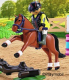 Horse Moving Legs Brown