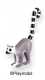 Ring-Tailed Lemur Standing