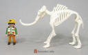 Mammoth Skeleton 2