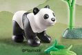 Panda Cub 3