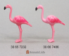 Flamingo Pink 2
