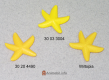 Starfish Yellow 3