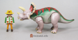 Triceratops 6 Grey