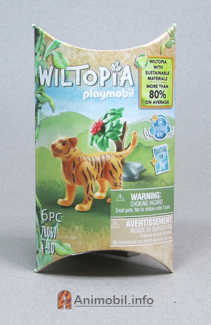 Tiger Kitten Orange 3