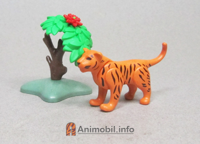 Tiger Kitten Orange 3