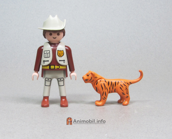 Tiger Kitten Orange 3