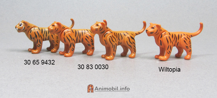 Tiger Kitten Orange 3