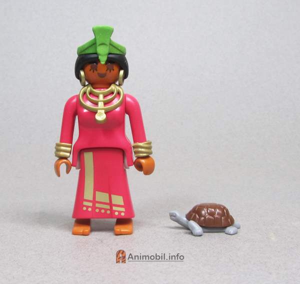 Tortoise Brown and Dark Grey