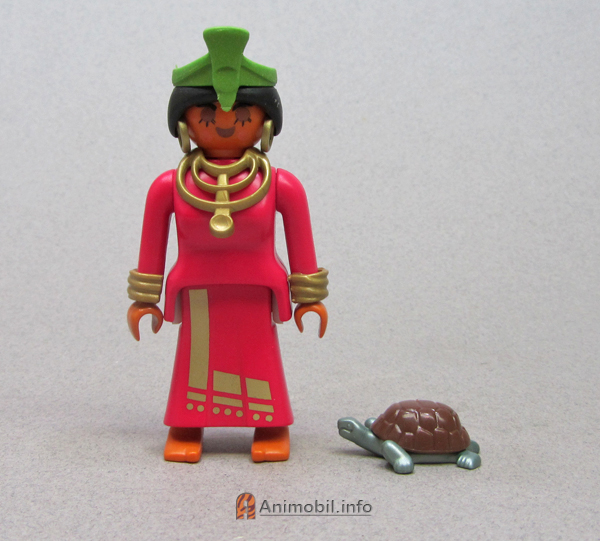 Tortoise Brown and Metallic Grey