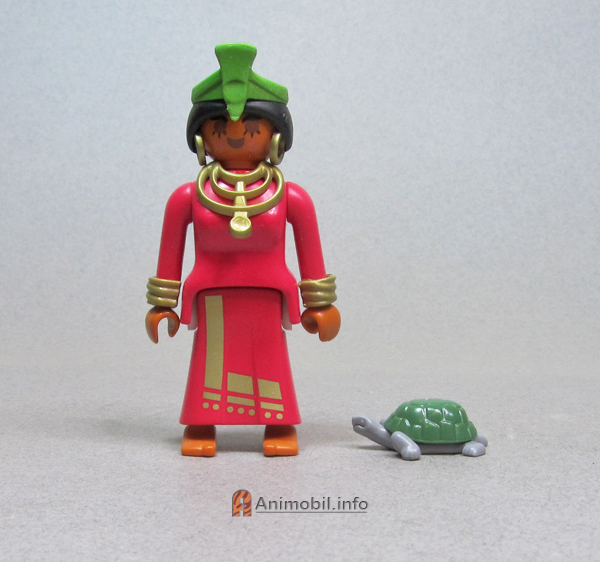 Tortoise Green and Dark Grey