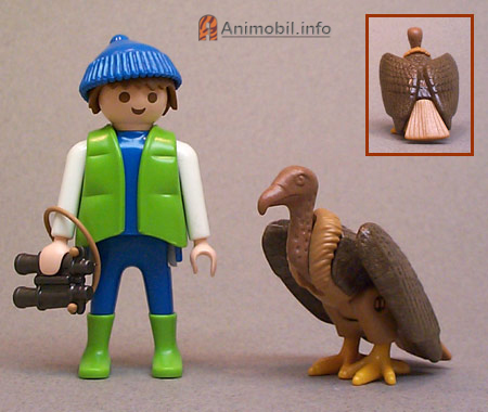 Vulture Brown