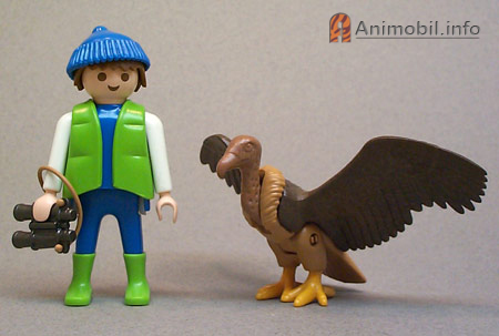 Vulture Wings Out Brown