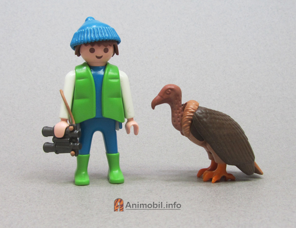 Vulture Brown Gripping Feet