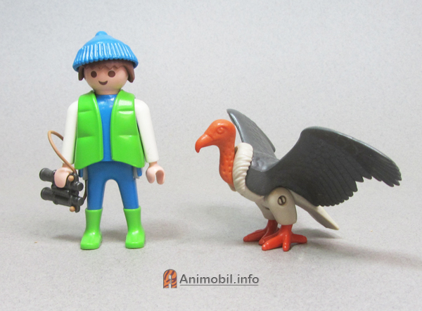 Vulture Wings Out Flat Feet