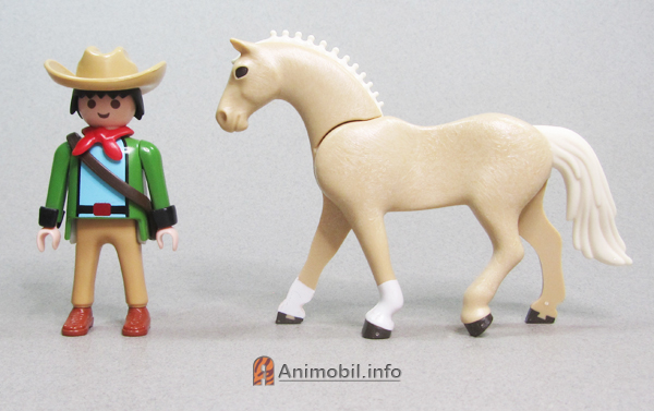 Sporthorse Warmblood 3